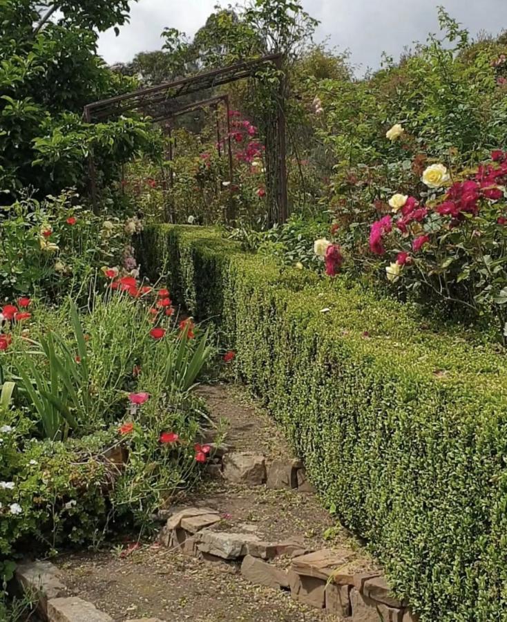 Strawbale Cottage - Wingspread Garden Strath Creek Экстерьер фото